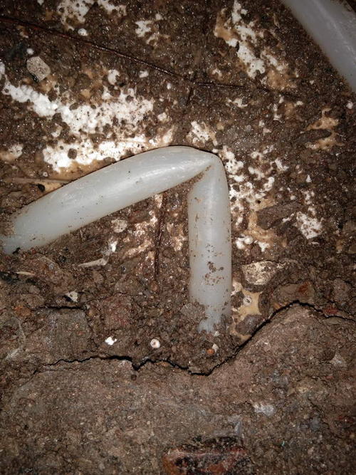 墨玉堵点精准查找